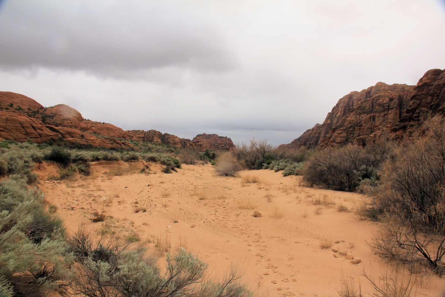 Snow Canyon State Park 